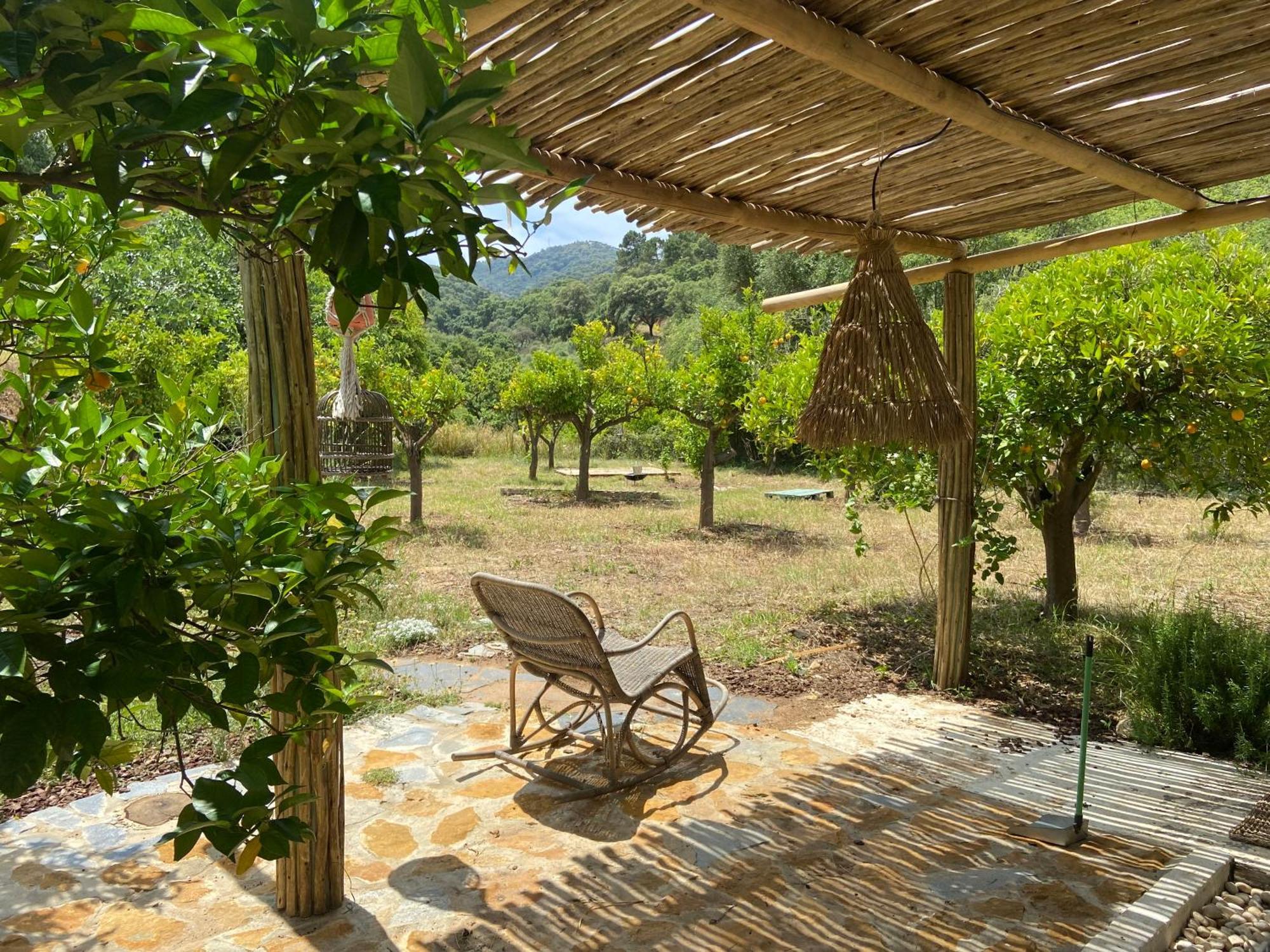 The4Elements Bed & Breakfast Monda Ngoại thất bức ảnh