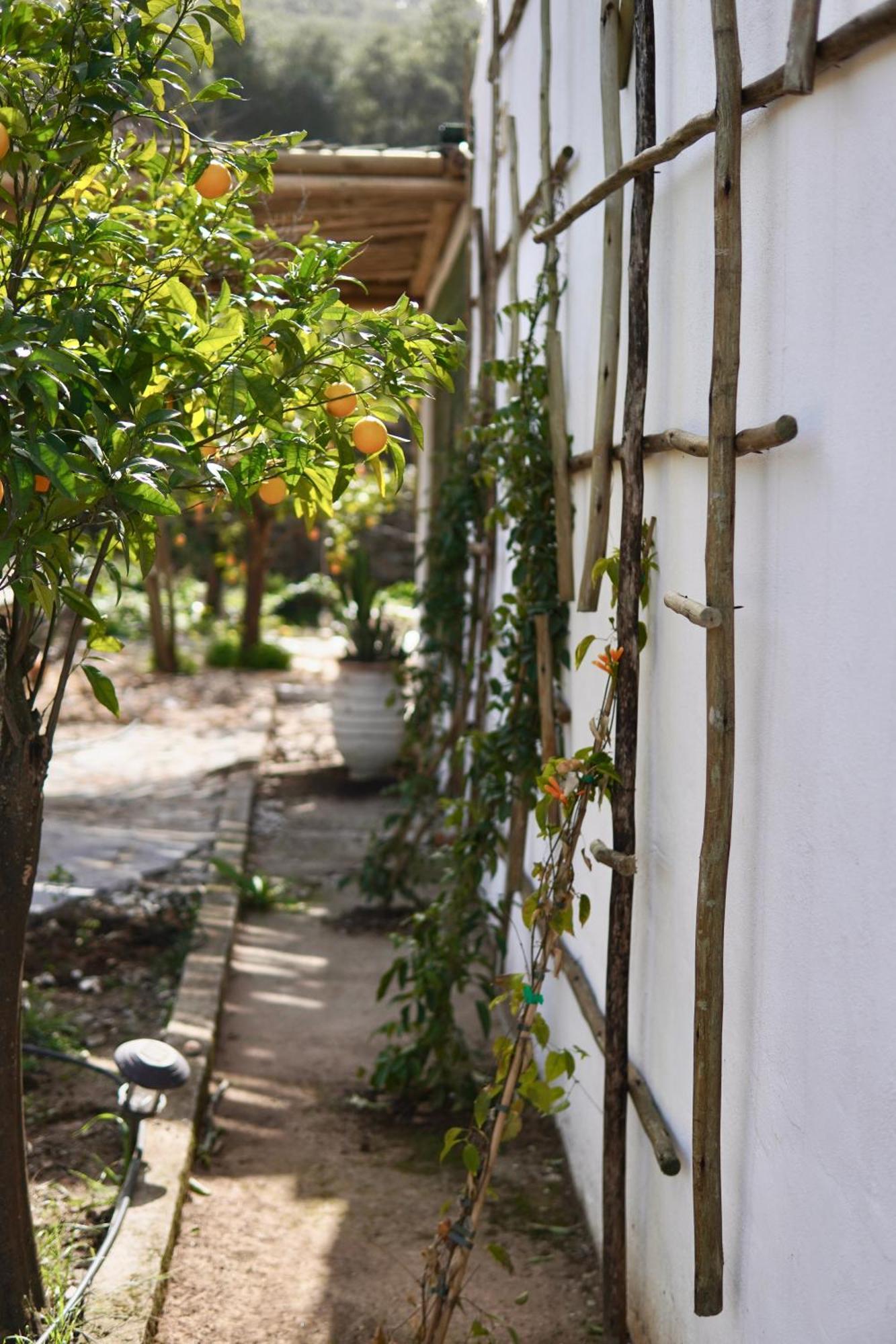 The4Elements Bed & Breakfast Monda Ngoại thất bức ảnh